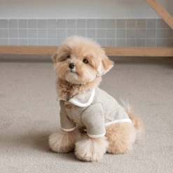 Monoment New Point Knit Cardigan Beige