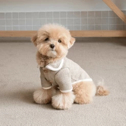 Monoment New Point Knit Cardigan Beige