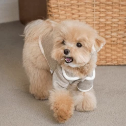 Monoment New Point Knit Cardigan Beige