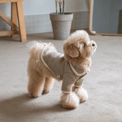 Monoment New Point Knit Cardigan Beige