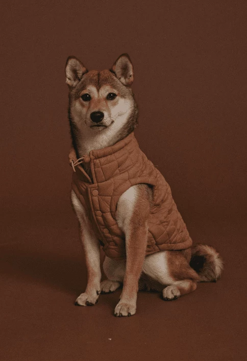 Flash Sale 🧨 Max-bone Easy Fit Jacket ⭐ 4 Max-bone Easy Fit Jacket