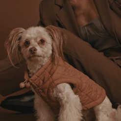 Flash Sale 🧨 Max-bone Easy Fit Jacket ⭐ 11 Max-bone Easy Fit Jacket