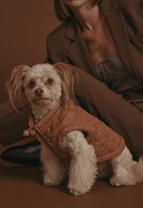 Flash Sale 🧨 Max-bone Easy Fit Jacket ⭐ 6 Max-bone Easy Fit Jacket