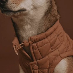 Flash Sale 🧨 Max-bone Easy Fit Jacket ⭐ 12 Max-bone Easy Fit Jacket