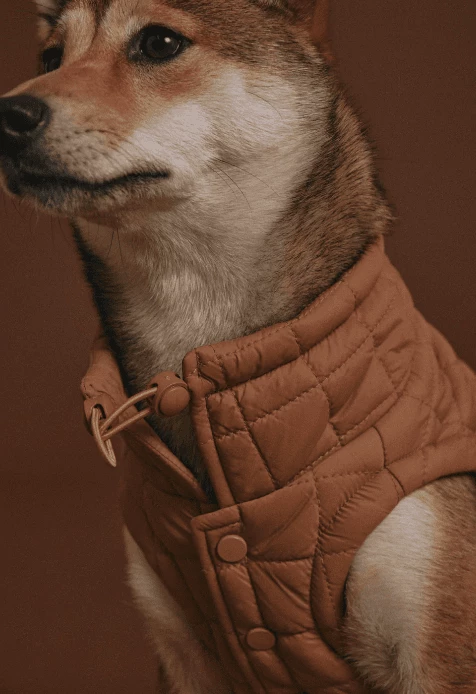 Flash Sale 🧨 Max-bone Easy Fit Jacket ⭐ 7 Max-bone Easy Fit Jacket