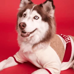 Max-bone Fa La La La La Sweater