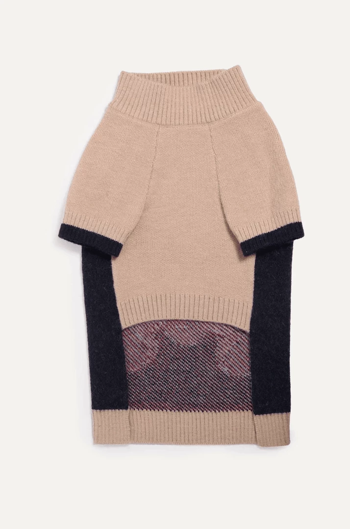 Coupon 🎁 Max-bone Teddy Raglan Sweater 🛒 4 Max-bone Teddy Raglan Sweater