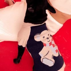 Coupon 🎁 Max-bone Teddy Raglan Sweater 🛒 7 Max-bone Teddy Raglan Sweater