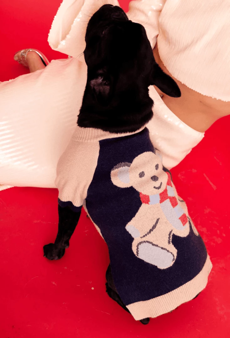 Coupon 🎁 Max-bone Teddy Raglan Sweater 🛒 5 Max-bone Teddy Raglan Sweater