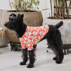 And Blank X Jessica Nielsen Tulip Tee New