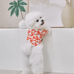 And Blank X Jessica Nielsen Tulip Tee New