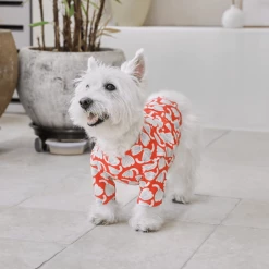 And Blank X Jessica Nielsen Tulip Tee New