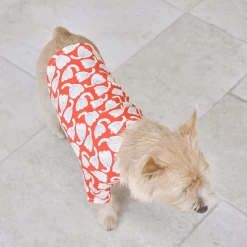 And Blank X Jessica Nielsen Tulip Tee New