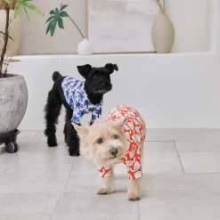 And Blank X Jessica Nielsen Tulip Tee New