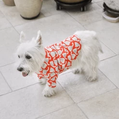 And Blank X Jessica Nielsen Tulip Tee New