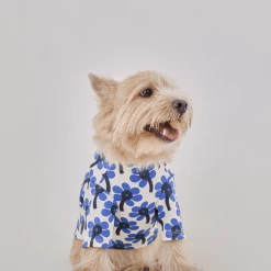 And Blank X Jessica Nielsen Morning Glory Tee