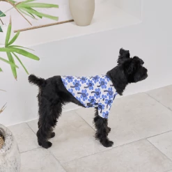 And Blank X Jessica Nielsen Morning Glory Tee