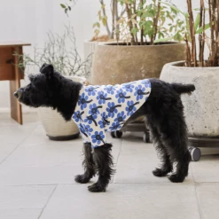 And Blank X Jessica Nielsen Morning Glory Tee