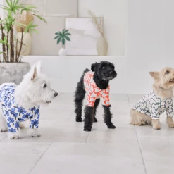 And Blank X Jessica Nielsen Camellia Tee