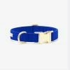 See Scout Sleep The Scot Collar Royal Blue Walk