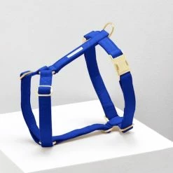 See Scout Sleep The Scot Harness Royal Blue Walk