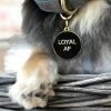 Two Tails Pet Company Style Loyal AF Collar Charm Black