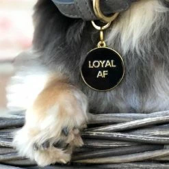 Two Tails Pet Company Style Loyal AF Collar Charm Black