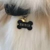 Top 10 ๐ Two Tails Pet Company Style Treat Yo Self Collar Charm Black ๐ 1 Two Tails Pet Company Style Treat Yo Self Collar Charm Black