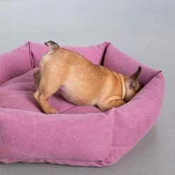 Wholesale π₯ Velvet Hippo Canvas Hex Cushion - Sunset Live 𧨠19 Velvet Hippo Canvas Hex Cushion - Sunset Live