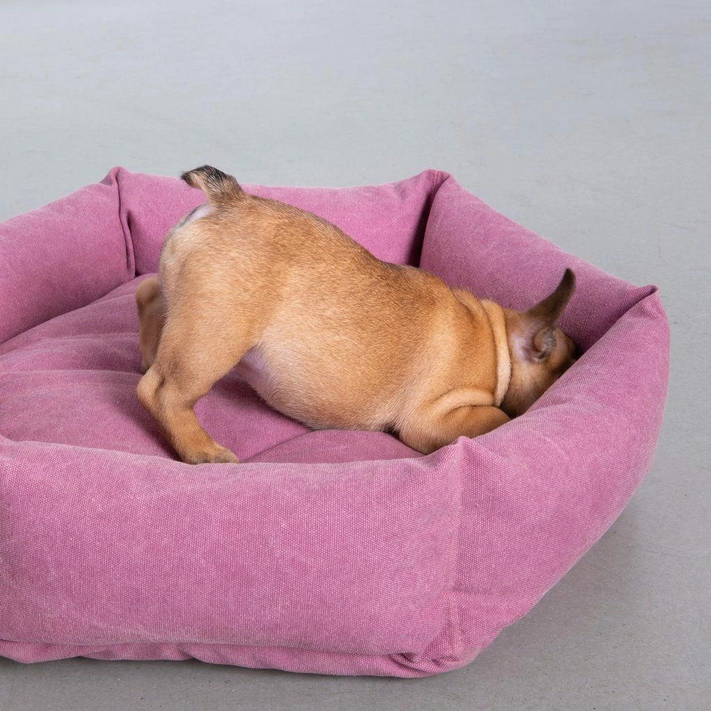 Wholesale π₯ Velvet Hippo Canvas Hex Cushion - Sunset Live 𧨠9 Velvet Hippo Canvas Hex Cushion - Sunset Live