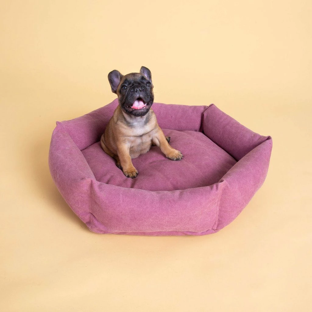 Wholesale π₯ Velvet Hippo Canvas Hex Cushion - Sunset Live 𧨠3 Velvet Hippo Canvas Hex Cushion - Sunset Live