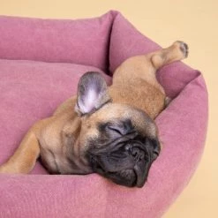 Wholesale π₯ Velvet Hippo Canvas Hex Cushion - Sunset Live 𧨠15 Velvet Hippo Canvas Hex Cushion - Sunset Live