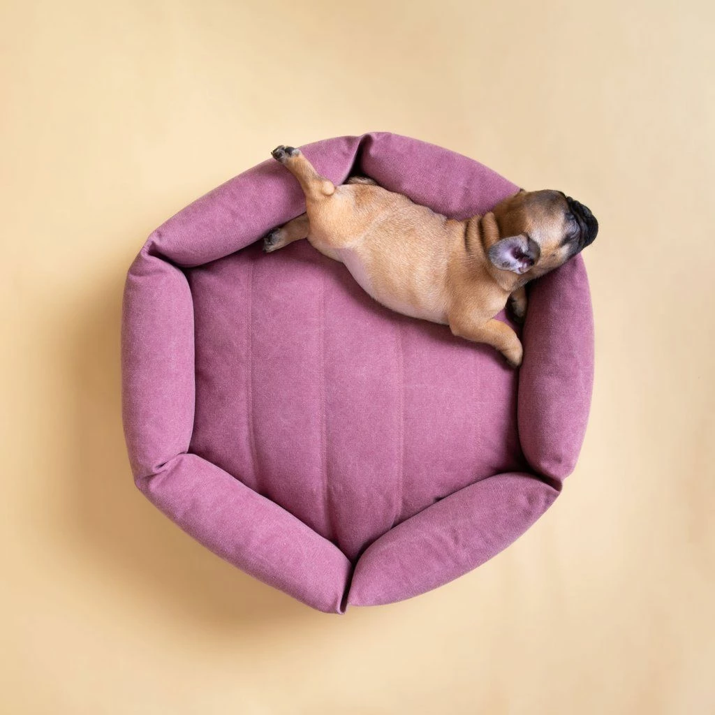 Wholesale π₯ Velvet Hippo Canvas Hex Cushion - Sunset Live 𧨠13 Velvet Hippo Canvas Hex Cushion - Sunset Live