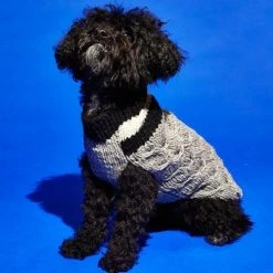 Ware Of The Dog Varsity Striped Sweater Wear