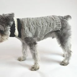 Ware Of The Dog Varsity Striped Sweater Wear