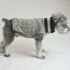 Ware Of The Dog Varsity Striped Sweater Wear