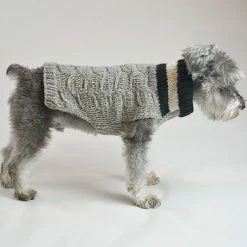 Ware Of The Dog Varsity Striped Sweater Wear