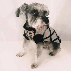 Ware Of The Dog Contrast Pattern Jacquard Sweater