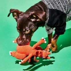 Ware Of The Dog Hand Crochet Dragon Toy
