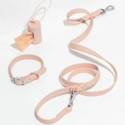 Wild One Modern Dog Collar Blush