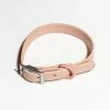 Wild One Modern Dog Collar Blush