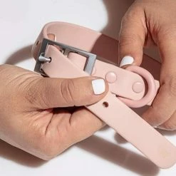 Wild One Modern Dog Collar Blush