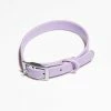 Wild One Modern Dog Collar Lilac
