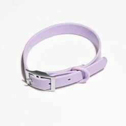 Wild One Modern Dog Collar Lilac