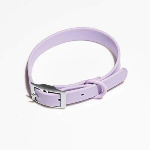 Coupon 👏 Wild One Modern 🐕 Dog Collar Lilac 👏 3 Wild One Modern Dog Collar Lilac