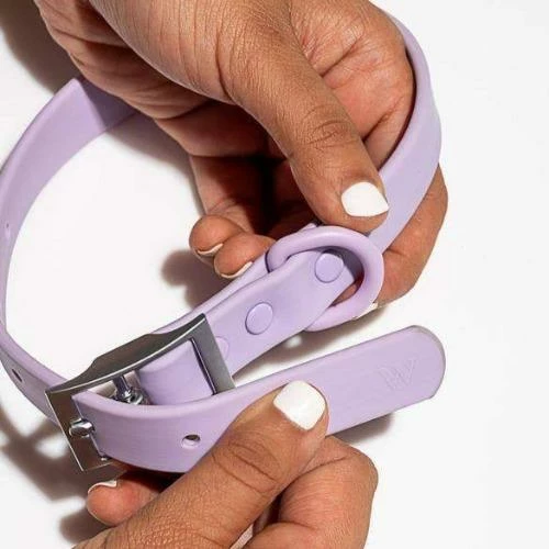 Coupon 👏 Wild One Modern 🐕 Dog Collar Lilac 👏 5 Wild One Modern Dog Collar Lilac