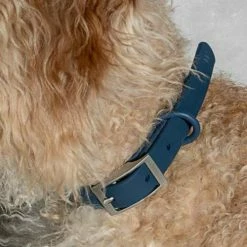 Wild One Modern Dog Collar Navy