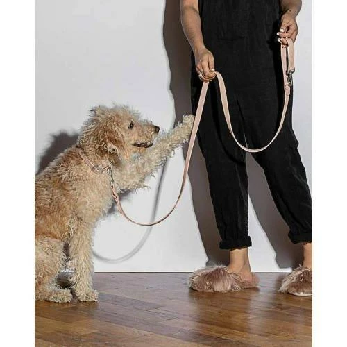 Coupon ๐คฉ Wild One Durable ๐ถ Dog Leash Blush ๐ 4 Wild One Durable Dog Leash Blush