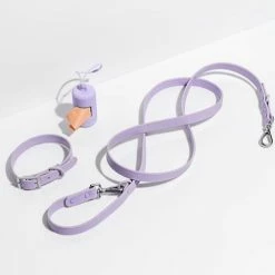 Wild One Walk Durable Dog Leash Lilac