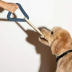 Wild One Live Triangle Tug Toy Navy